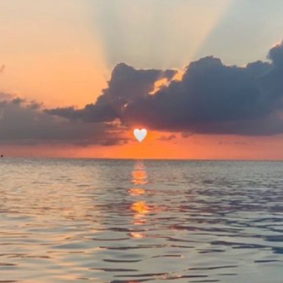 Meet your Posher, Ava - Picture 1 of 1